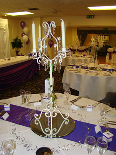 Stallingborough Grange Chair Covers